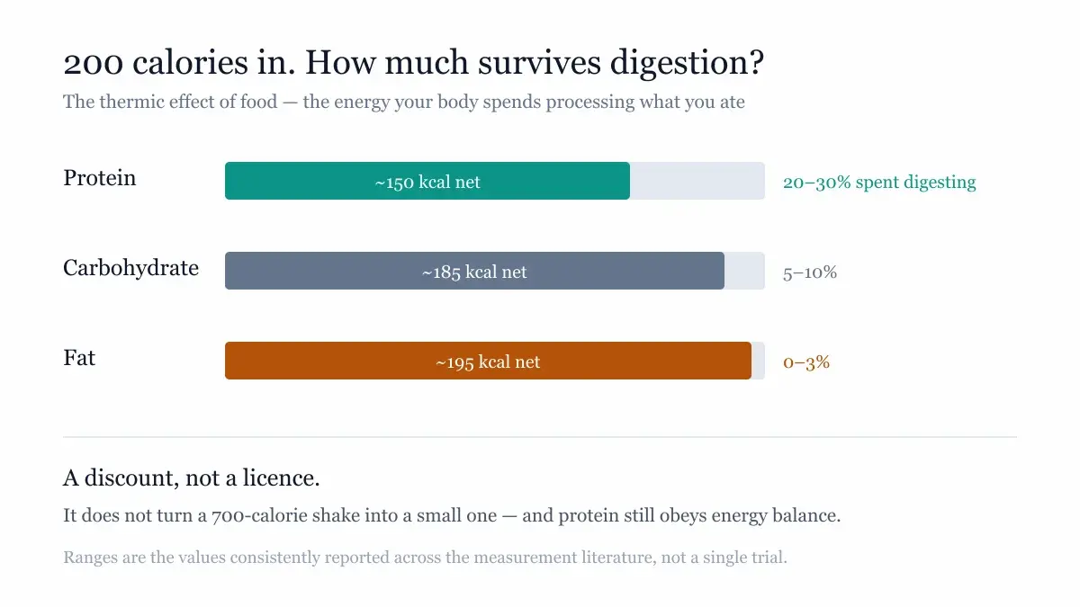 Three bars showing how much of 200 calories survives digestion for protein, carbohydrate and fat